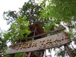 Ashoka_Tiger_Trail