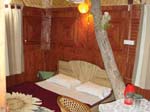 Ashoka_Tiger_Trail_Treehouse_View