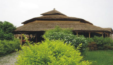 Hotel Jims Jungle Retreat Cheap Hotels Booking reservation Corbett Hotel Jims Jungle Retreat,Corbett Jungle Retreat, Corbett National Park, Ramnagar, Uttaranchal.