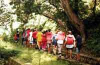 Kyari, Kyari Resort, Photographs & amp; Bookings for the Kyari, Resort nearby Jim Corbett National Park, Details, Facts Map, And Tour Bookings For Jim Corbett National Park.