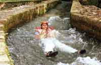 Kyari, Kyari Resort, Photographs & amp; Bookings for the Kyari, Resort nearby Jim Corbett National Park, Details, Facts Map, And Tour Bookings For Jim Corbett National Park.