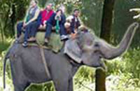Wild Crest Resort, Corbett, Uttaranchal.