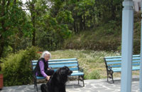 Nainital cottages,cottage near Nainital,Ramgarh cottage,nighlaat cottage.