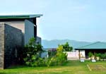 Aalia Side View