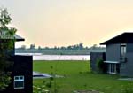 Aalia View