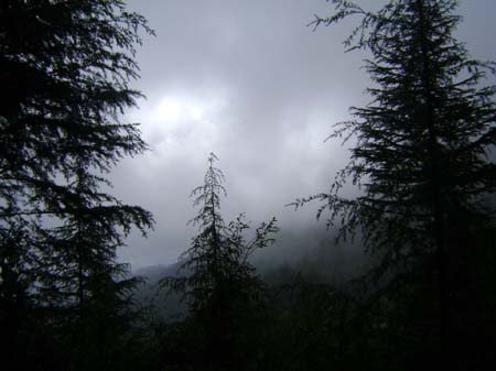 View Near Camp
