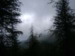 View Near Camp