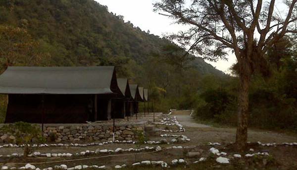 A Camp