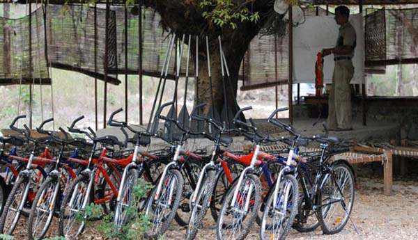 Cycling