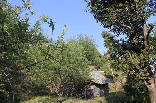 Daandi Kaanthi Outdoorsc6