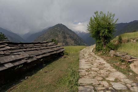 Around View