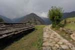Around View
