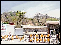 The Solluna Resort, The Solluna Resort Corbett, Solluna Resort & Hotel, Marchula, Corbett, Uttaranchal.