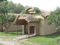 Tiger Camp at Corbett