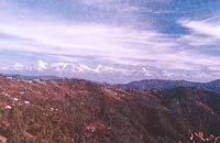 Woods Villa,Hotel in Ranikhet, Ranikhet Hotel Packages, Hotel Packages for Ranikhet, Ranikhet Hotel, Ranikhet Winter Packages, Ranikhet Packages, Ranikhet Hotel Package.