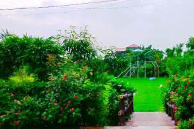 Exotic Noida Farm, Noida, Uttar Pradesh

 