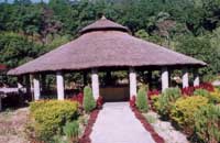 CORBETT ROOP RESORT,Corbett Roop Resort,corbett roop resort,Corbett Roop Resort Mohaan(Mohan), Corbett, Uttaranchal.