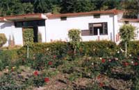 CORBETT ROOP RESORT,Corbett Roop Resort,corbett roop resort,Corbett Roop Resort Mohaan(Mohan), Corbett, Uttaranchal.