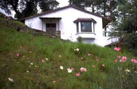 Cuckoo Resorts Almora, uttaranchal, India  &amp; Cuckoo Resorts, Hill station  discount hotel tariff / rates/ pricelist, Resorts Hotels.