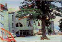 Hotel Arif Castles Nanital