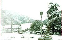 Nainital Hotel,Hotels of Nainital,Hotel and Resorts in Nainital India,Nainital Hotels India.