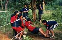 Kyari, Kyari Resort, Photographs & amp; Bookings for the Kyari, Resort nearby Jim Corbett National Park, Details, Facts Map, And Tour Bookings For Jim Corbett National Park.