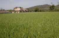 Kyari, Kyari Resort, Photographs & amp; Bookings for the Kyari, Resort nearby Jim Corbett National Park, Details, Facts Map, And Tour Bookings For Jim Corbett National Park.