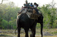 Manu Maharani Resorts Corbett,Corbett National Park,Jim Corbett Park,Jim Corbett National Park,Resort in Corbett,Resort in Corbett National Park,Resort in Jim Corbett Park,Resort in Jim Corbett National Park,resort in Corbett Wildlife Tour,Project Tiger,Corbett Wildlife Tour,Project Tiger.