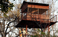 Manu Maharani Resorts Corbett,Corbett National Park,Jim Corbett Park,Jim Corbett National Park,Resort in Corbett,Resort in Corbett National Park,Resort in Jim Corbett Park,Resort in Jim Corbett National Park,resort in Corbett Wildlife Tour,Project Tiger,Corbett Wildlife Tour,Project Tiger.