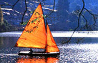 Manu Maharani Lodge Nainital,  Hotels in Nainital,Hotel in Nainital,Hotels of Nainital,India Nainital Hotels,Uttaranchal Nainital Hotel,Uttaranchal Nainital Hotels,Nainital Hotel,Nainital Hotels & Resorts.