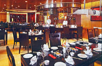 Radisson Hotel Noida, Hotel Radisson in Noida, Radisson in Noida Hotel, Hotel Radisson in Noida India, The Radisson Noida Hotel,Hotels Reservation / Booking for Hotel Radisson Hotel Noida India.