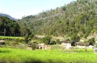 Wild Brook Retreat,RAJAJI NATIONAL PARK Uttaranchal,Wild Brook Retreat Rajaji National Park,Rajaji National Park Resorts Lodges,Stone Cottages in Rajaji National Park,Rajaji National Park Wildlife Lodges in Rajaji National Park,Hotel Rajaji National Park Wildlife Lodges.
