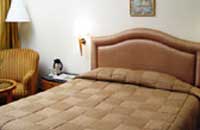 Hotel Yamuna View - Agra - Hotel Yamuna View Reviews,(Hotel Agra Ashok).