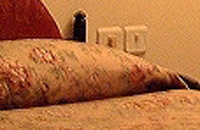 Hotel Sheetal Regency Mathura,mathura, hotel,mathura hotel,mathura hotels,mathura resort,mathura resorts,accommodation,hotel and resort,resort travel, India.