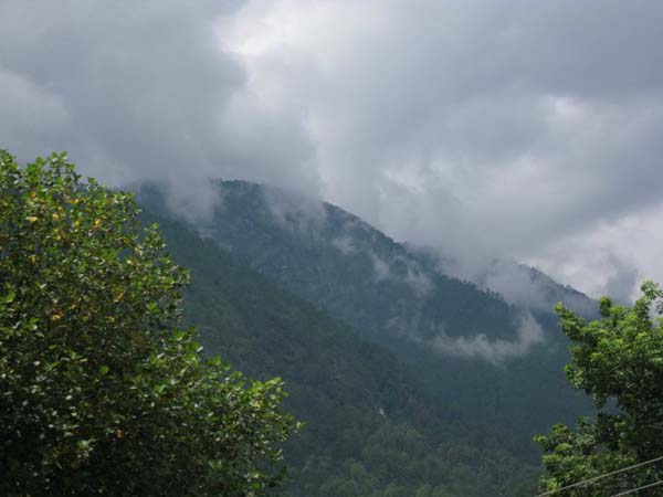 A View