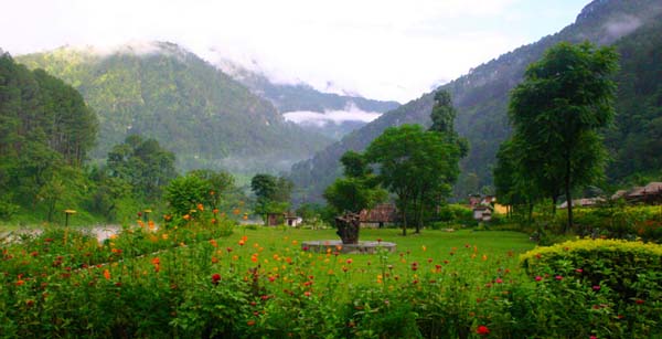 Garden View