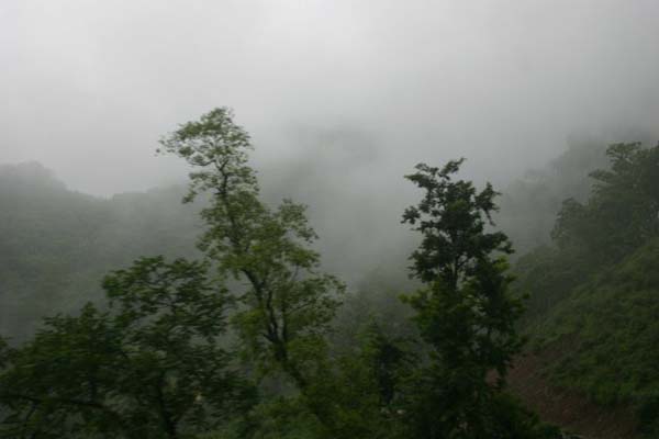 Shikhar Nature Resort View