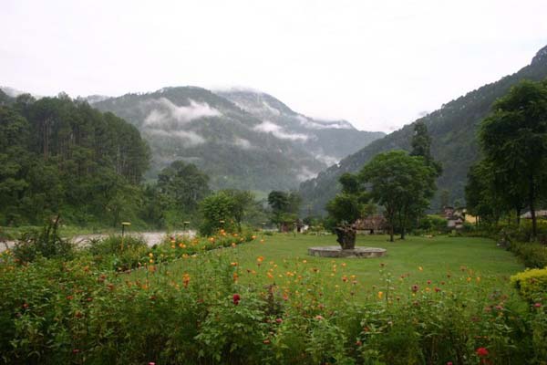 View1