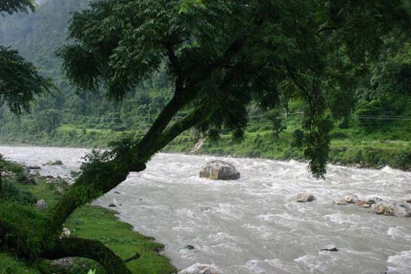 View2