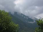 A View