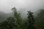 Shikhar Nature Resort View