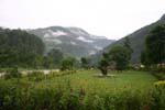 View1