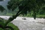 View2