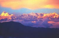 Woods Villa,Hotel in Ranikhet, Ranikhet Hotel Packages, Hotel Packages for Ranikhet, Ranikhet Hotel, Ranikhet Winter Packages, Ranikhet Packages, Ranikhet Hotel Package.