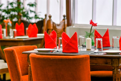 Mount Conifer Suites & Spa, Darjeeling   