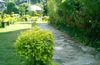 The Soods Garden Retreat Kalimpong, Darjeeling West Bengal,Hotels in Darjeeling,Hotel in Darjeeling,Hotels of Darjeeling,India Darjeeling Hotels,Darjeeling Hotel,Darjeeling Hotels &amp; Resorts,Hotels in Darjeeling, Darjeeling hotels, Darjeeling hotel, Darjeeling hotel booking,Hoteles en la India,H&ocirc;tels en Inde,Hotels in Indien.