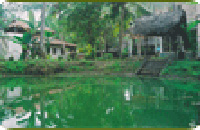 Ayurveda hospitals in kerala, Ayurveda in Kerala,Ayurveda treatments in kerala, Kerala mansoon, Punarnava Ayurveda Hospital Cochin, Kerala, India, resort, osteoarthritis, rheumatoid arthritis, low back ache, cervical spondylsis, psoriasis, allergic respiratory disorders , multiple sclerosis, age related mental stress, rheumatic diseases, health care, professional doctors, Pizhichil , Najavarakzhi, Sirodhara, Vasthi, Sirovasthi, Udvarthanam, Abhayangam,Rejuvenation Therapy, Body purification Therapy, Body Immunisation Programme, Slimming Programme, beauty care programme, Stress Management Programme.