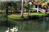 Ayurtheeram : Ayurveda : Ayurveda India : Ayurveda Kerala : Ayurveda Therapy : Rejuvenation : Revitalization : Detoxification : Yoga : Meditation : Ayurveda Education - Kerala - India :Internship : Slimming : Anti Ageing : Paralysis : Weightloss : Kerala Ayurveda : Kerala Ayurveda Treatments : Kerala Ayurveda Packages : Kerala Panchakarma : Ayurveda Treatments in India : Ayurveda Packages in India : Ayurveda Hospital India.