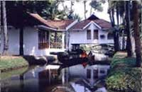 Ayurtheeram : Ayurveda : Ayurveda India : Ayurveda Kerala : Ayurveda Therapy : Rejuvenation : Revitalization : Detoxification : Yoga : Meditation : Ayurveda Education - Kerala - India :Internship : Slimming : Anti Ageing : Paralysis : Weightloss : Kerala Ayurveda : Kerala Ayurveda Treatments : Kerala Ayurveda Packages : Kerala Panchakarma : Ayurveda Treatments in India : Ayurveda Packages in India : Ayurveda Hospital India.