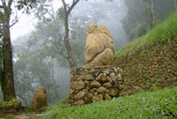 Blackberry Hill Resort, Munnar, is a typical Kerala hill-side Village with a set of cute cottages nestling against the backdrop of  the Western Ghats.